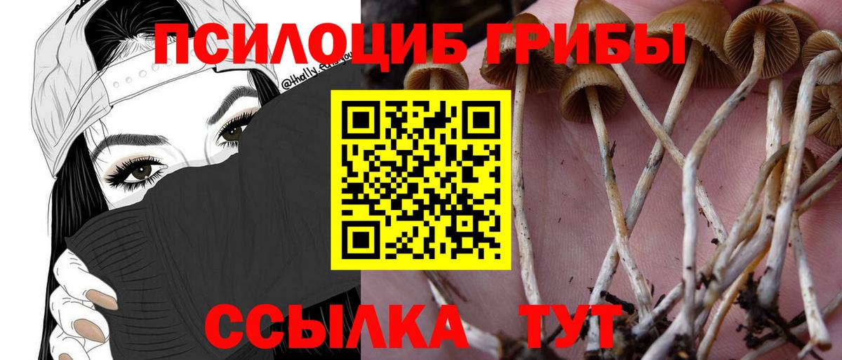 Галлюциногенные грибы ЛСД Ярославль